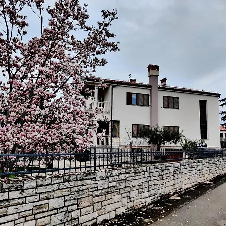 Apartments Vili *