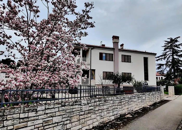 Apartments Vili *
