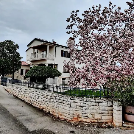 Apartments Vili Daire *